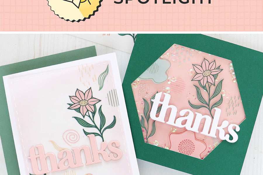In the Spotlight: Flowers and Swirls Hero Transfers