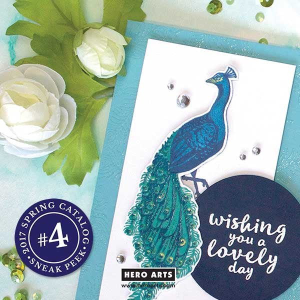 2017 Spring Catalog Sneak Peek #4 + Giveaway