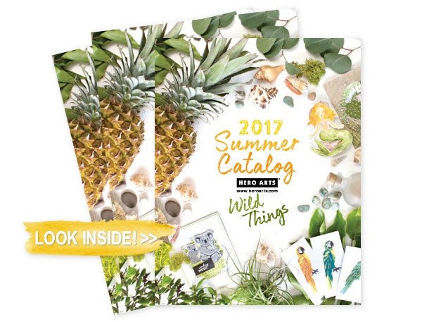 2017 Summer Catalog Reveal!