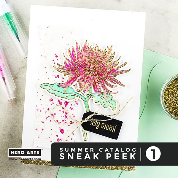 2018 Summer Catalog Sneak Peeks: Day 1