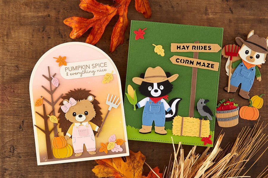 Fall Adventures Collection Introduction with Allison Frazier