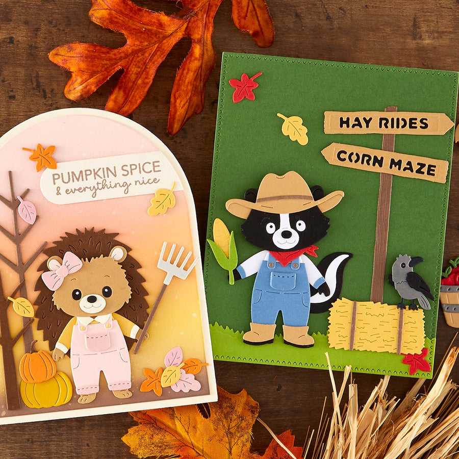 Fall Adventures Collection Introduction with Allison Frazier