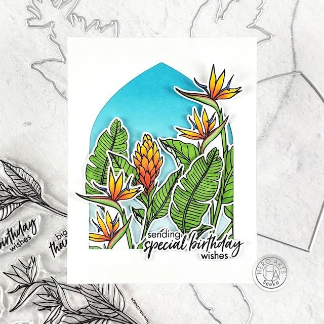 Birthday Birds of Paradise