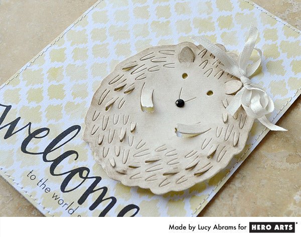 Hedgehog Baby