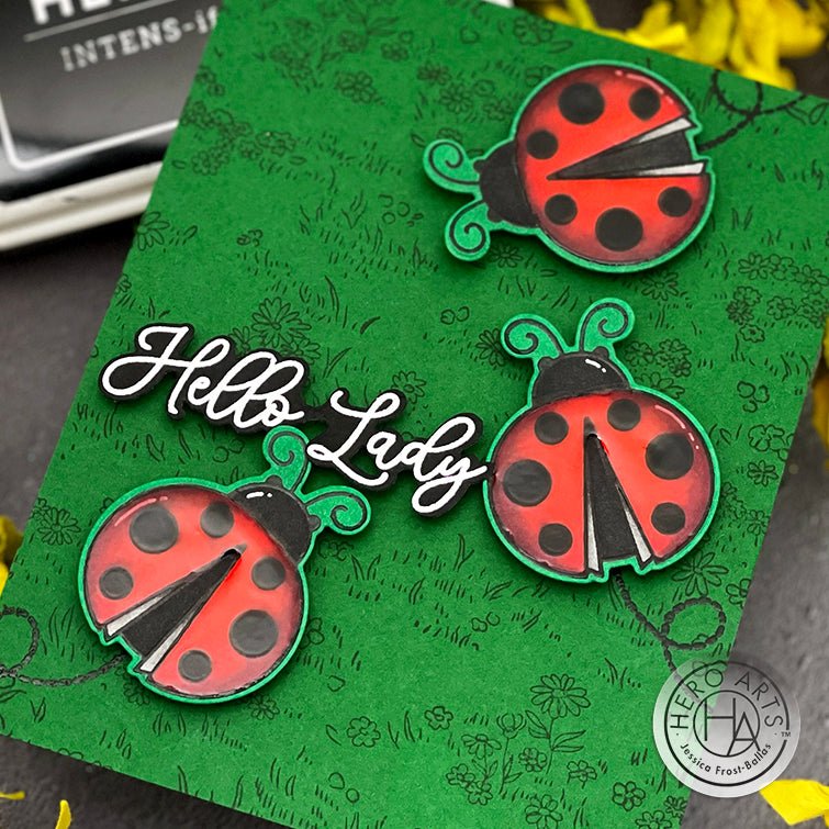 Hello Lady!