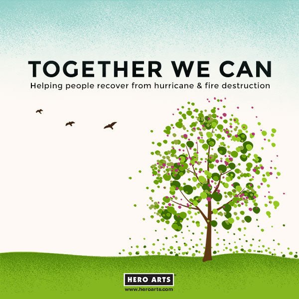 Hurricane & Fire Relief: Together We Can Help