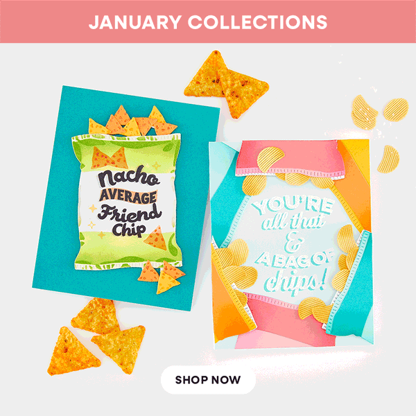 Introducing 3 New Collections for January!