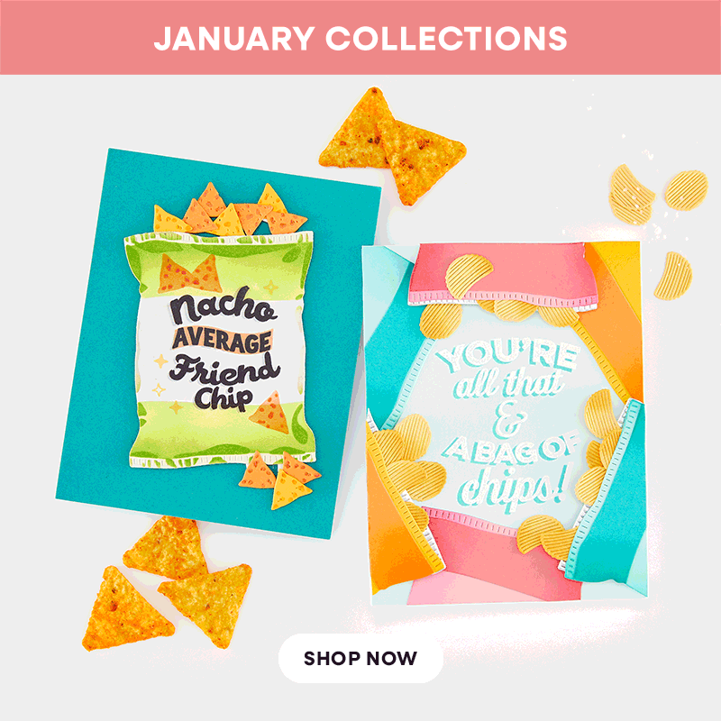 Introducing 3 New Collections for January!
