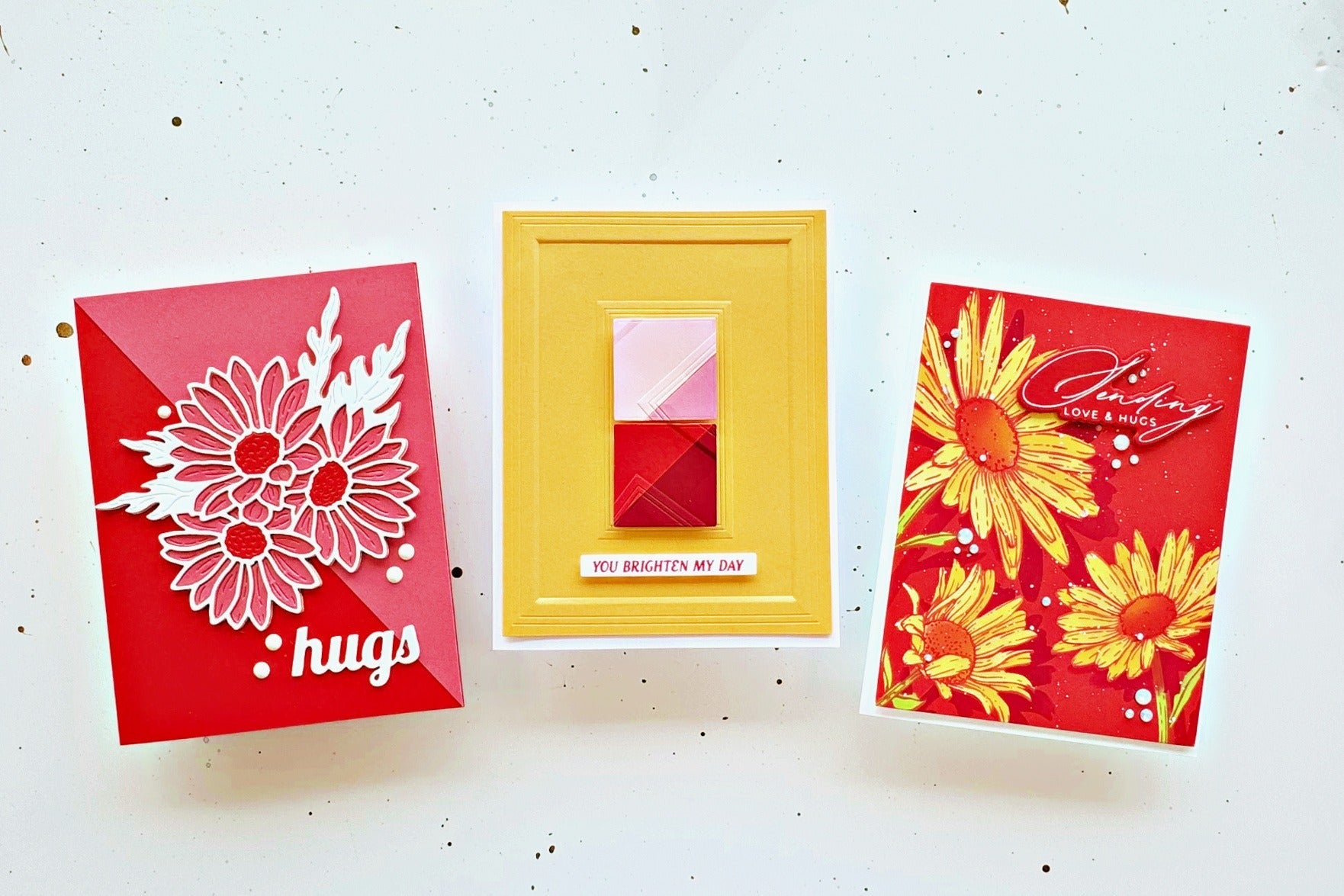 Colorful and Versatile Yana’s Daisies