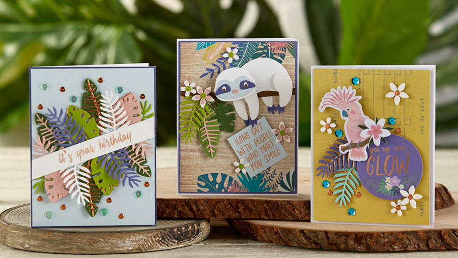 August 2019 Card Kit of the Month is Here – Hang With Me