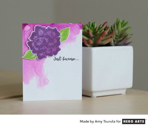 Ombré Hydrangea