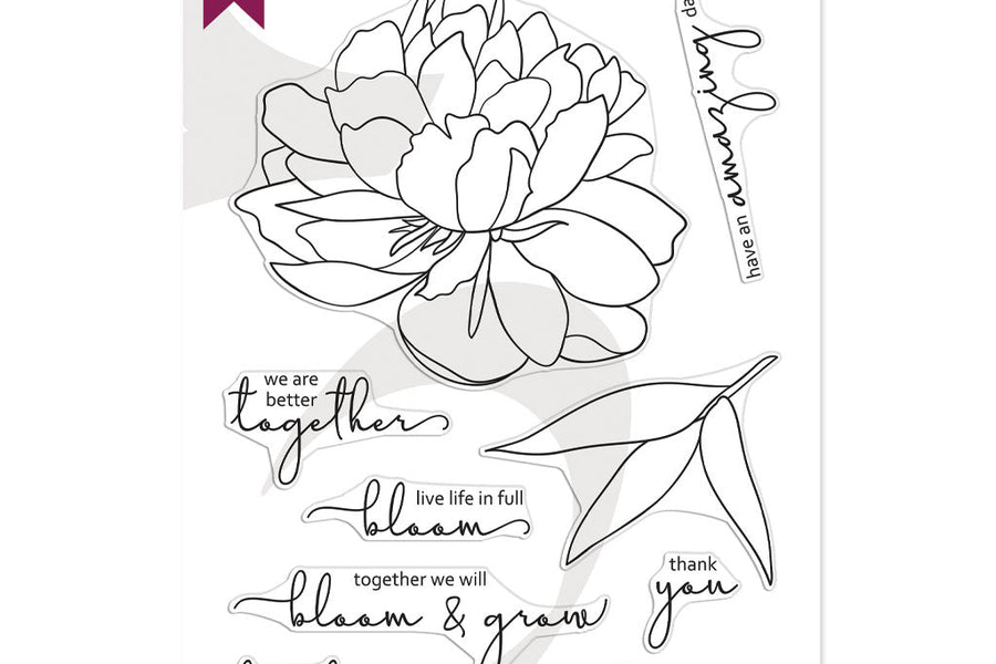 Partners: Altenew + A Giveaway!