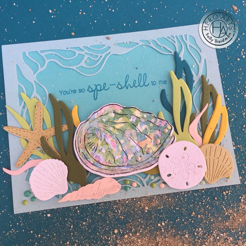 Saturdays with Sally - You are SPE-SHELL!