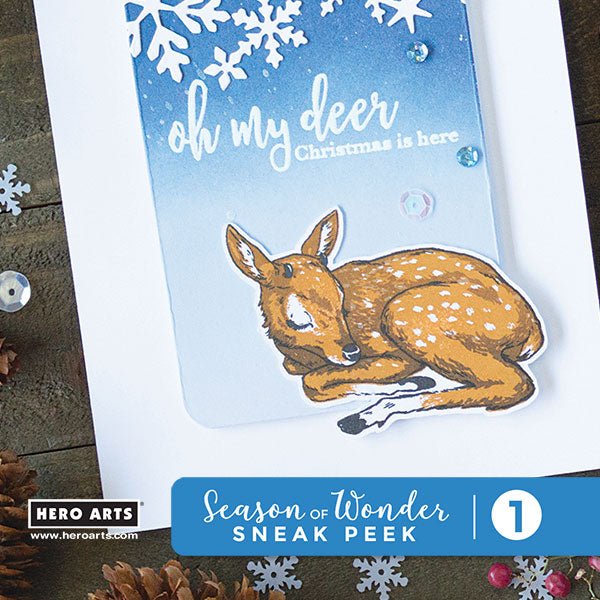 Season of Wonder Sneak Peek #1 + Giveaway