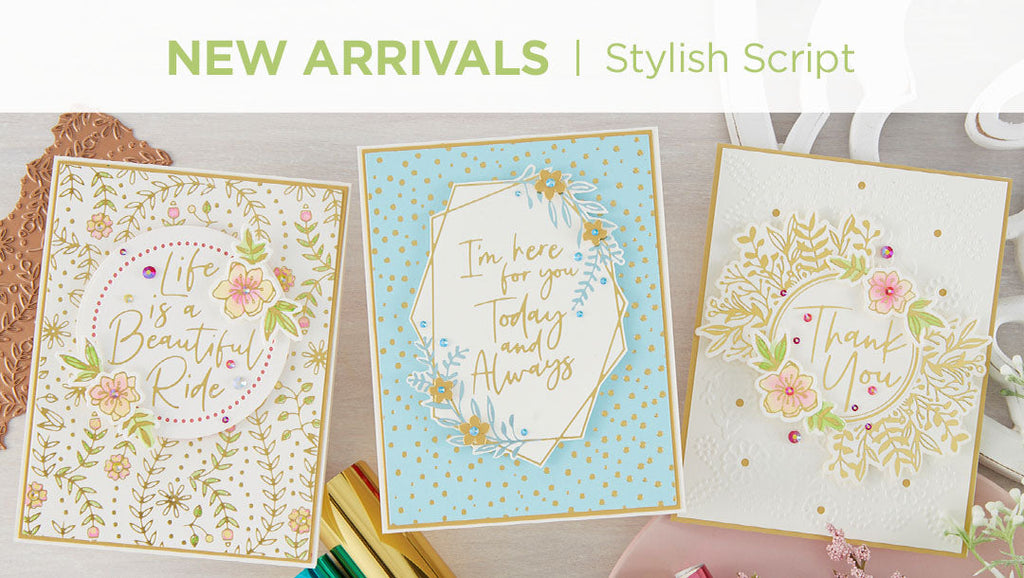 What’s New | Stylish Script Collection