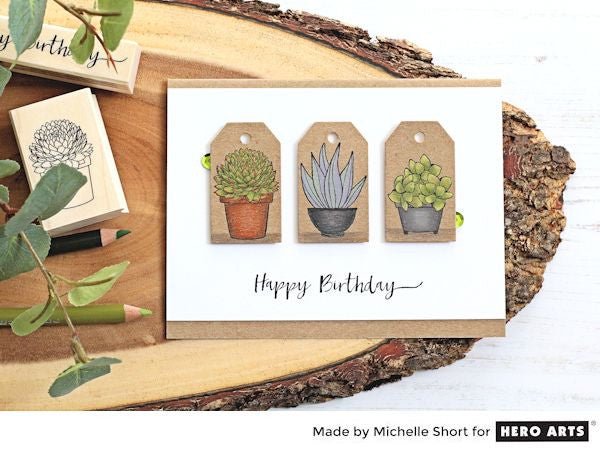 Succulent Trio
