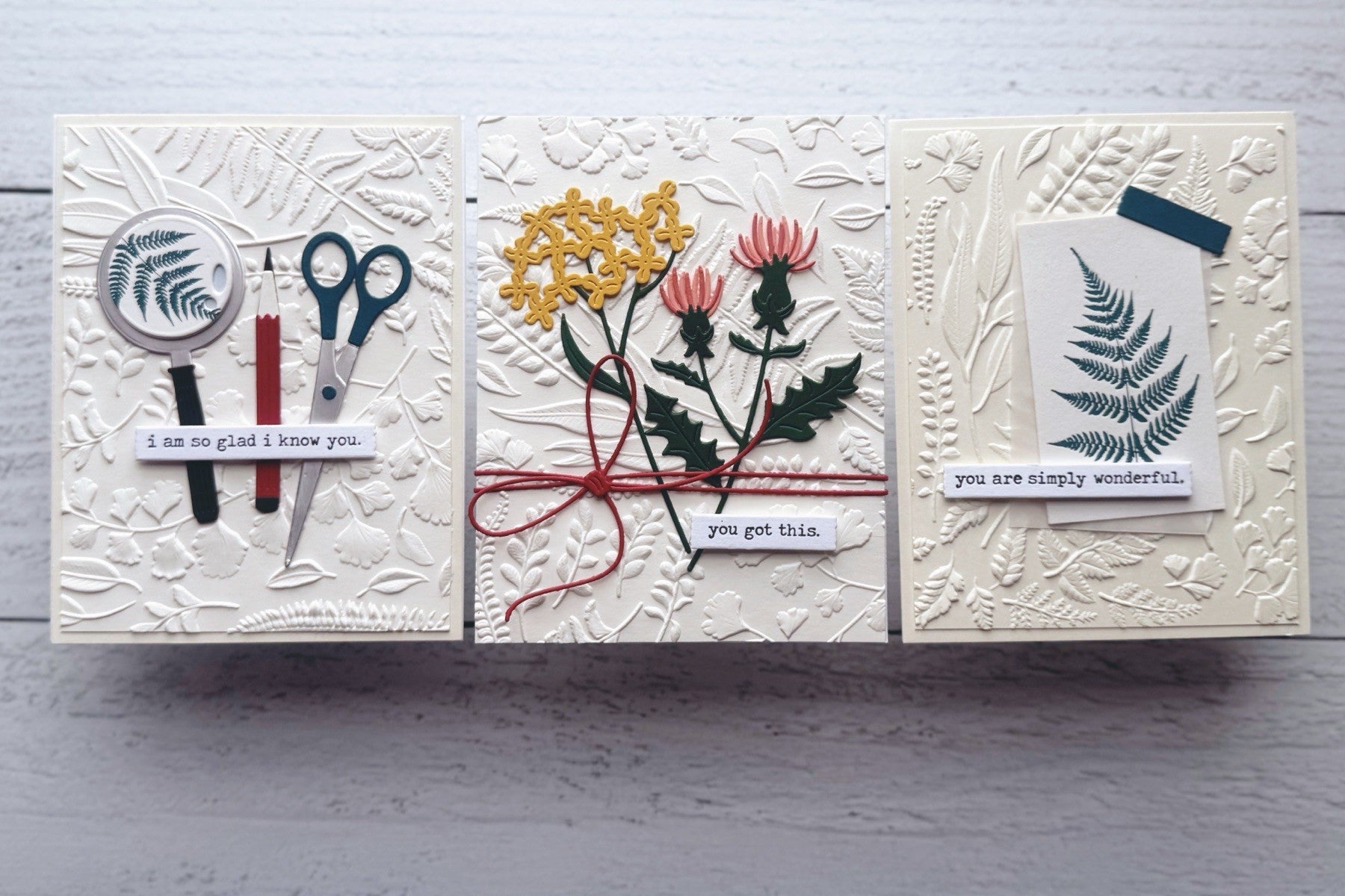 Clean and Simple Cards Using the Field Notes Collection