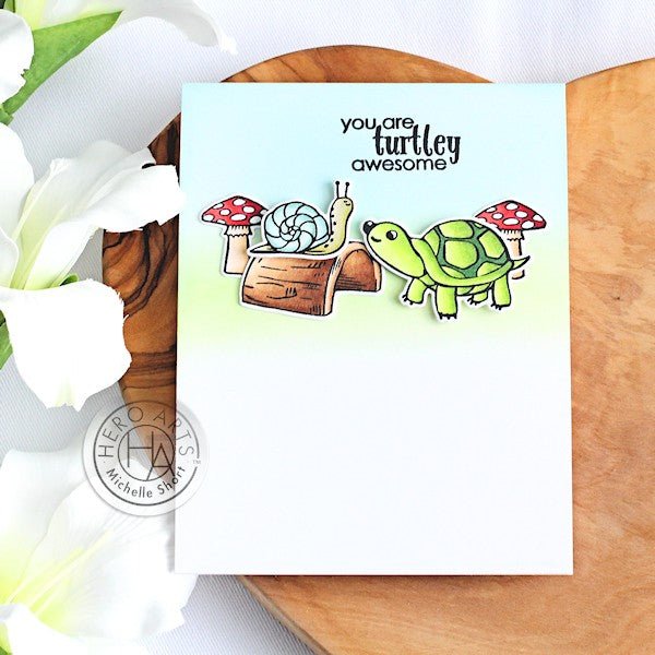 Turtley Awesome