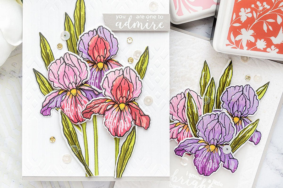 Video: 3D Decoupage with Layering Iris | Color Layering With Yana Series