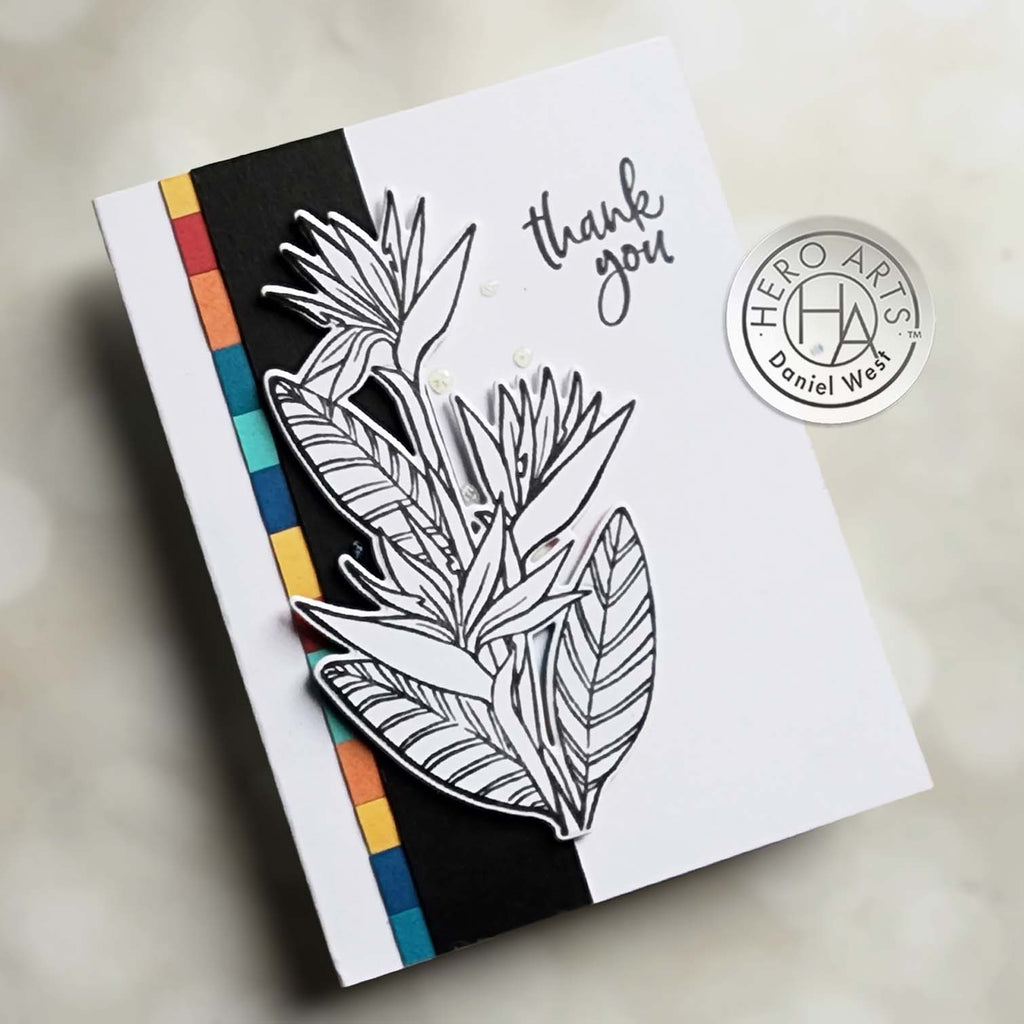 Video: Birds of Paradise No Coloring Card