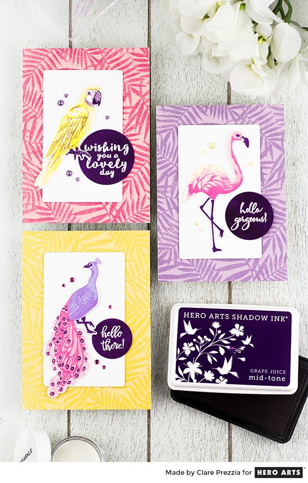 VIDEO: Colorful Bird Card Set
