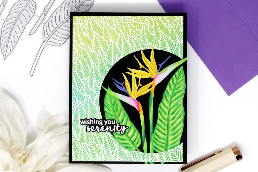 Video: Making Your Die Cuts Pop - Hero Arts