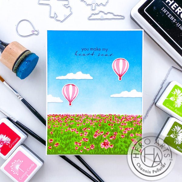 Video: Tulip Fields and Blue Skies