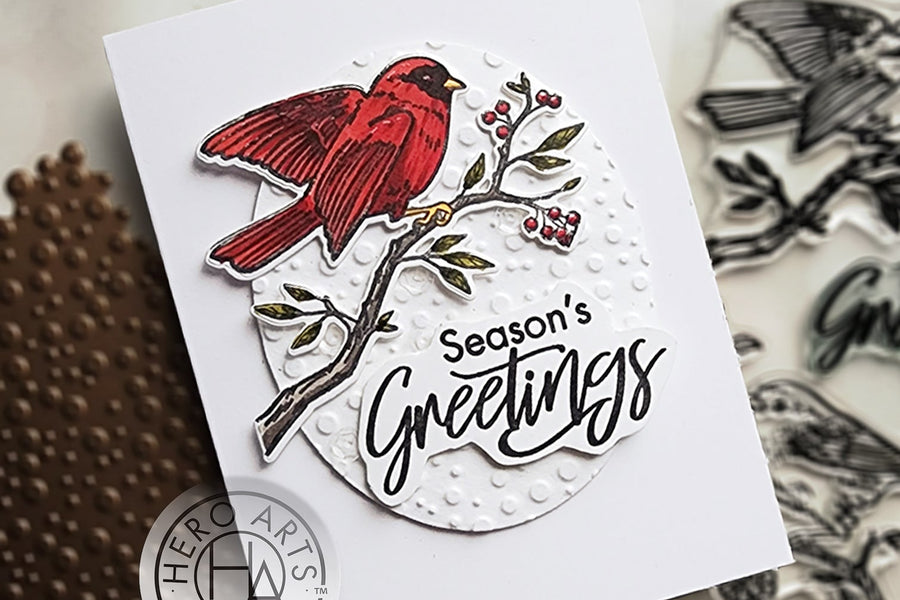 Video: Using a Hot Foil Plate for Dry Embossing - Hero Arts