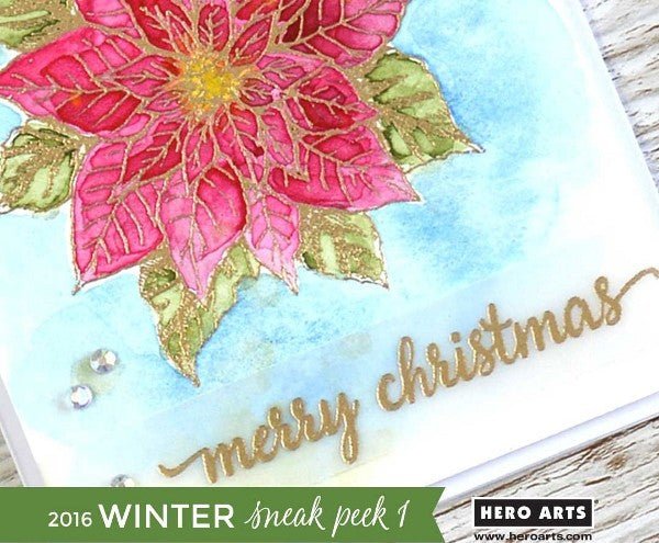 Winter Catalog Sneak Peek #1 + Giveaway