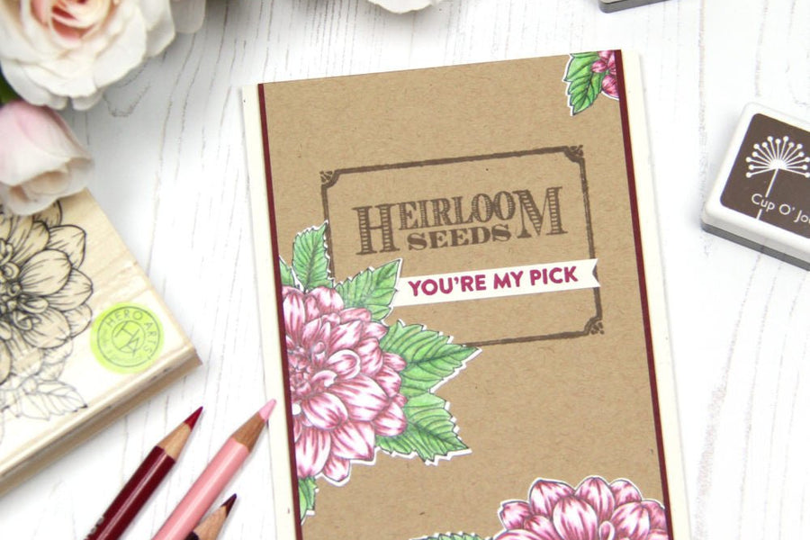 You’re My Pick! - Hero Arts