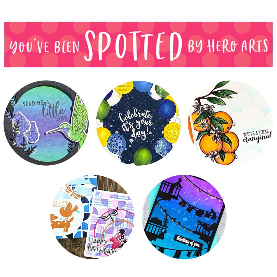 You've Been Spotted!