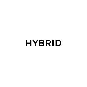 Hybrid Inks