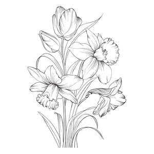 Yana's Tulips I Want It All! Bundle by Yana Smakula
