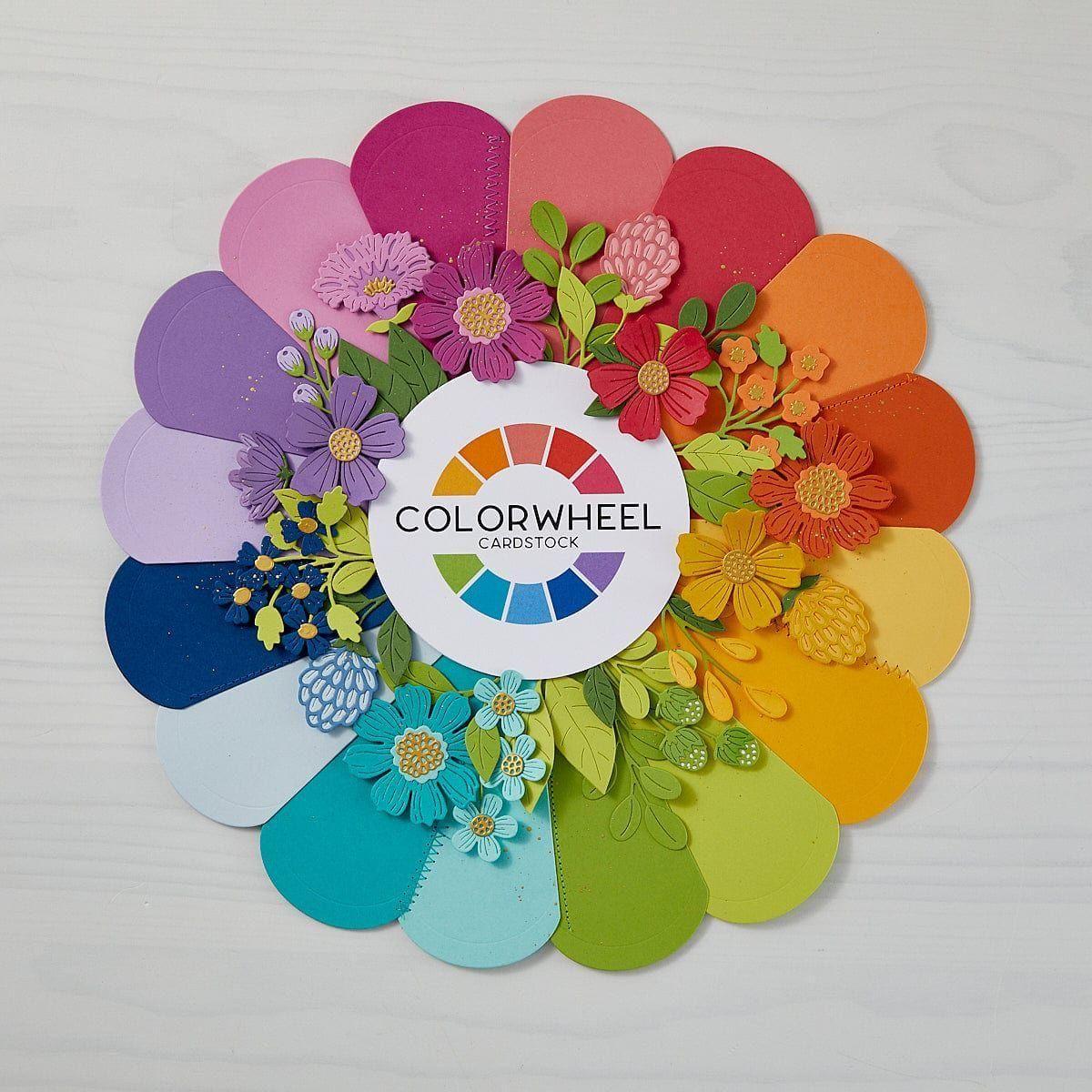 Color Swatch Petal Etched Dies
