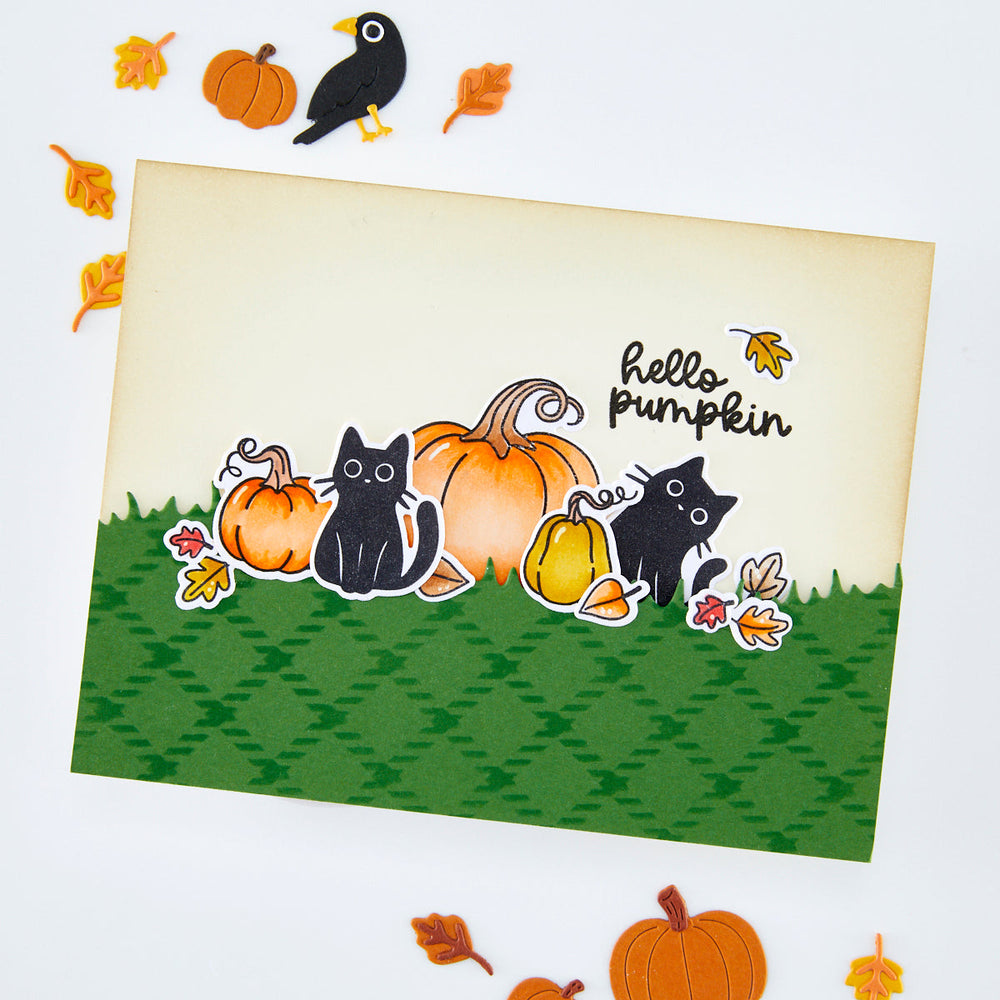 Hide and Peek Stamp & Cut