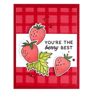 Berry Best Stamp & Die Bundle by Simon Hurley
