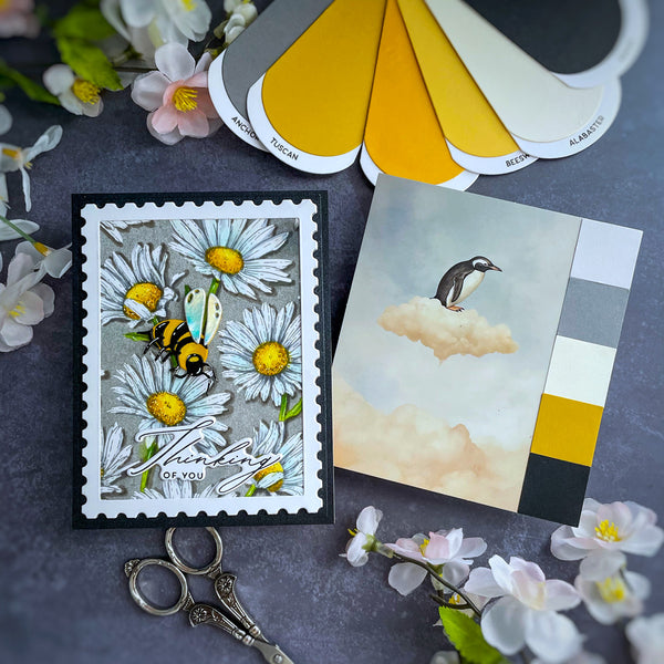 DIY Color Deck Builder Bundle