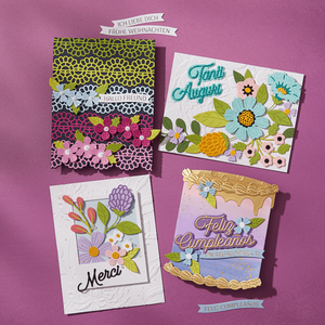 Spanish Sentiments BetterPress Plate & Die Set
