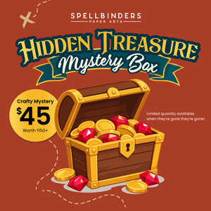 Hidden Treasure Mystery Box