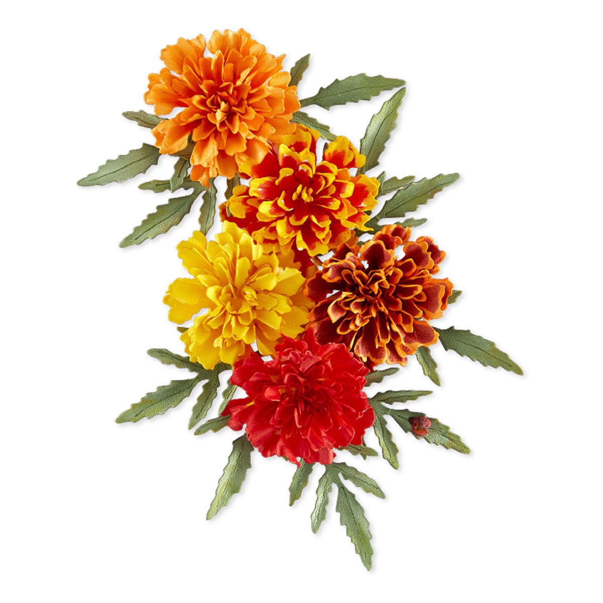 Marigold Etched Dies by Susan Tierney-Cockburn – Spellbinders