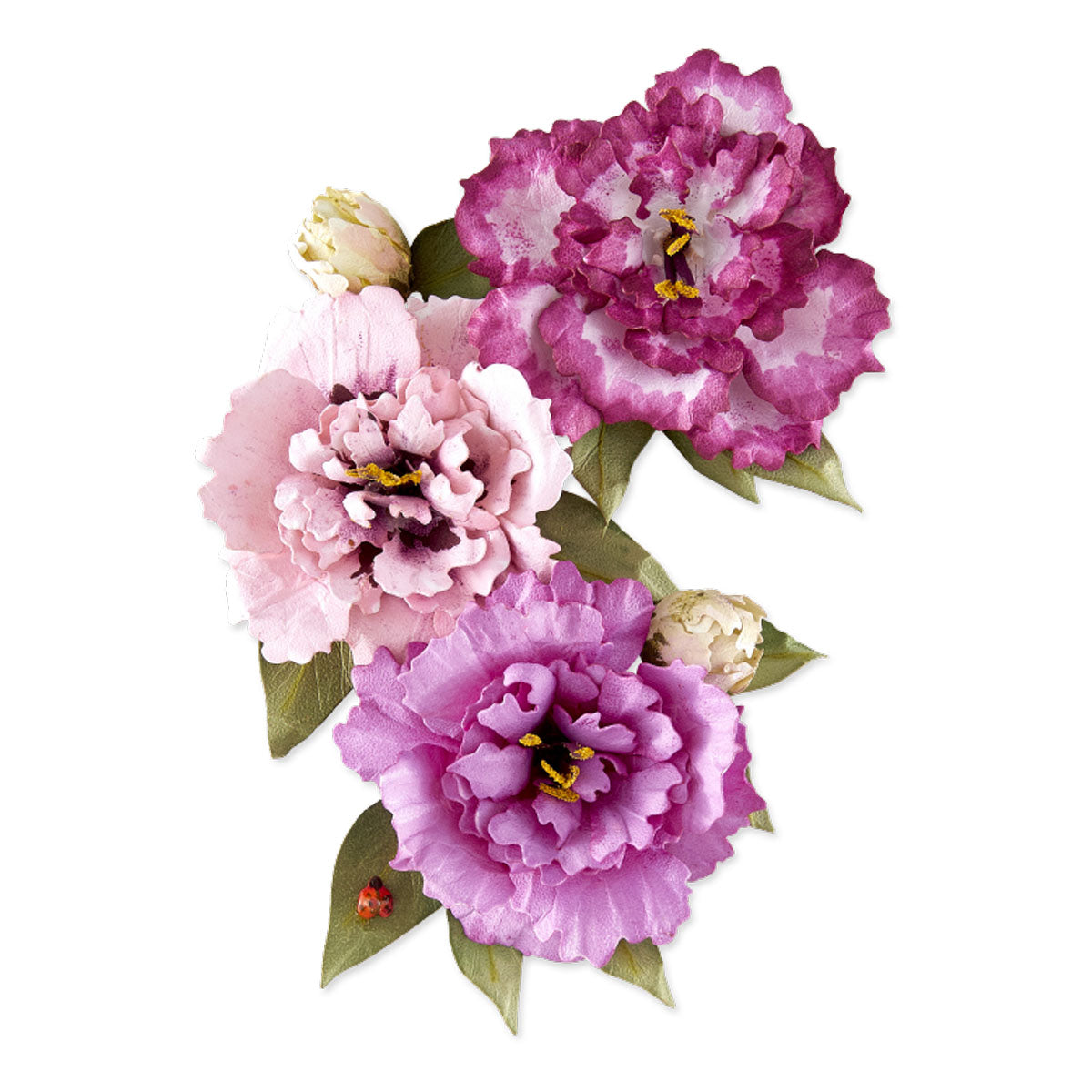 Lisianthus Etched Dies by Susan Tierney-Cockburn – Spellbinders