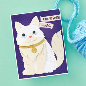 Cats and Pugs Sentiments Clear Stamp Set from the Bibi's Cats and Pugs Collection by Bibi Cameron