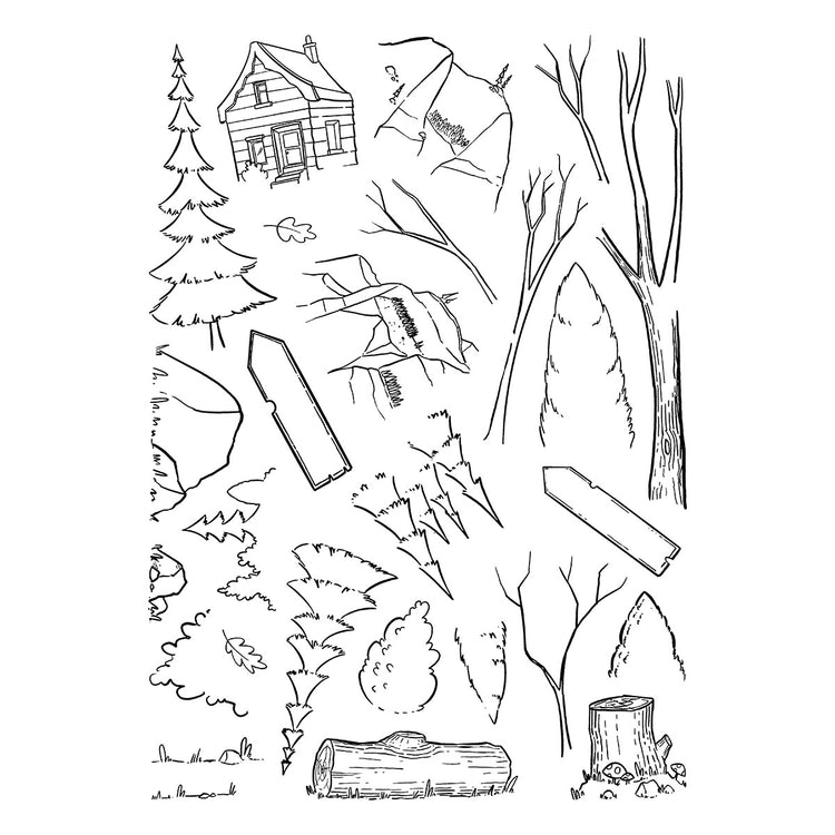 Into the Wild Clear Stamp Set