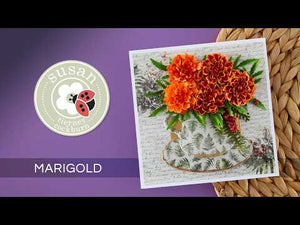 Marigold Etched Dies by Susan Tierney-Cockburn