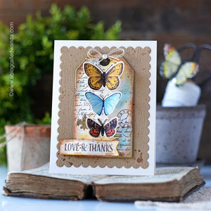 Butterfly Hero Transfers