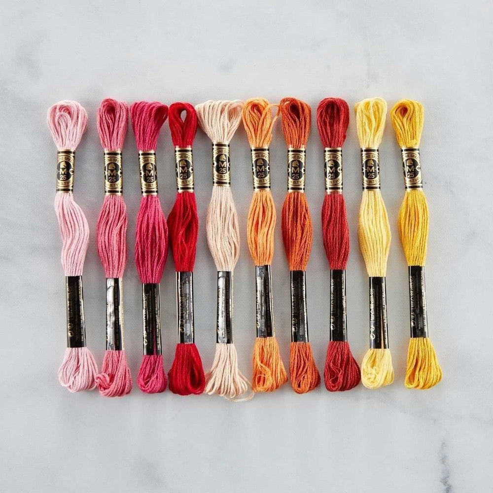 DMC Color Essentials Floss Bundle Warm 10 Pack white clipped product image. 