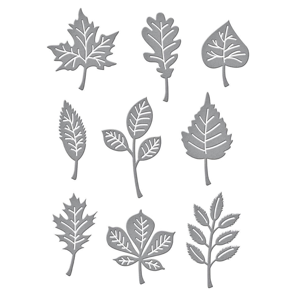 Autumn Leaves Etched Dies from the Fall Traditions Collection (S4-1137) Colorization