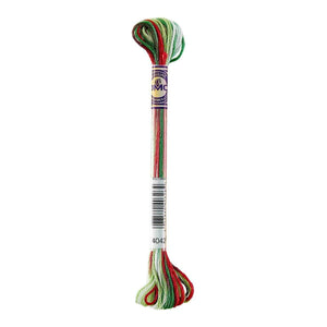 DMC Color Variations Holiday Floss